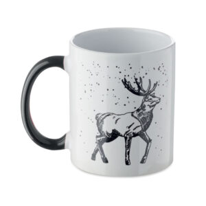 FESTIMUG